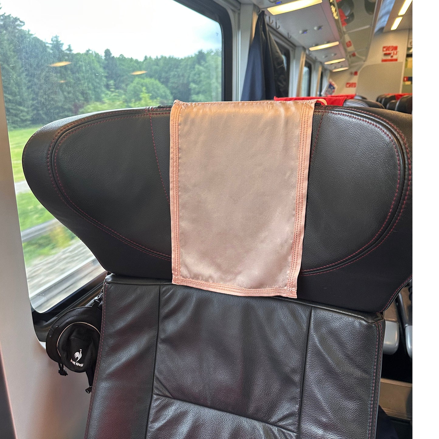 Travel essential, train journey